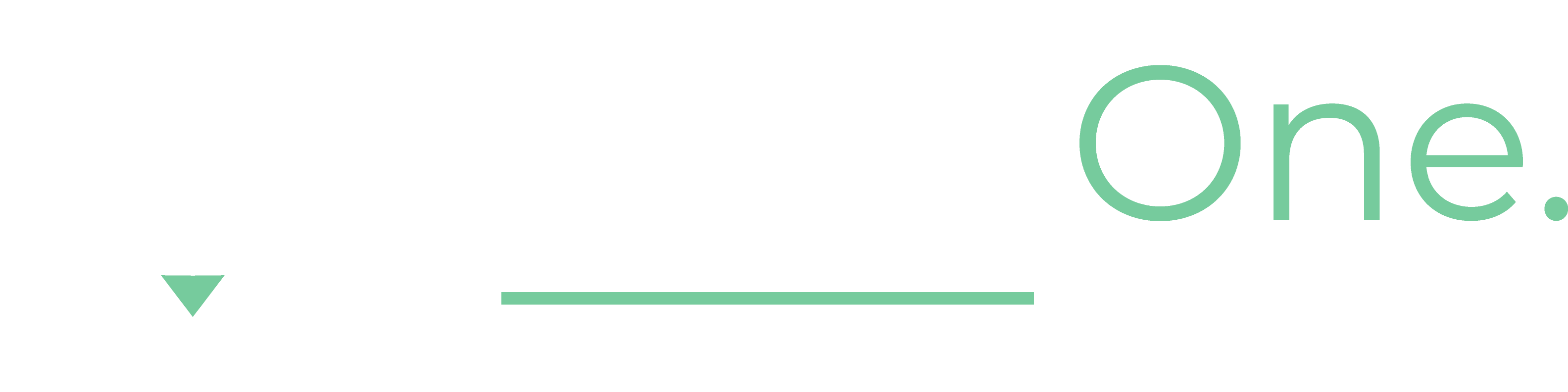Portail NevaOne